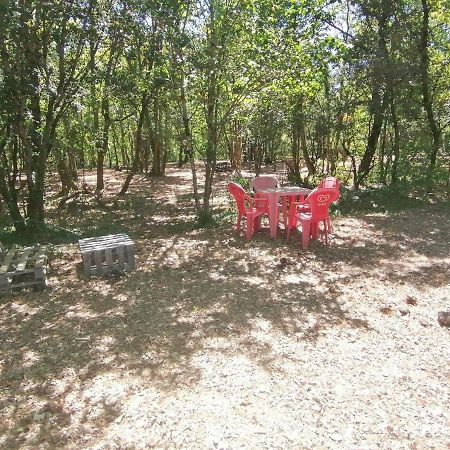 Emplacement Tente Camping Car Saint-Aubin-de-Nabirat 외부 사진