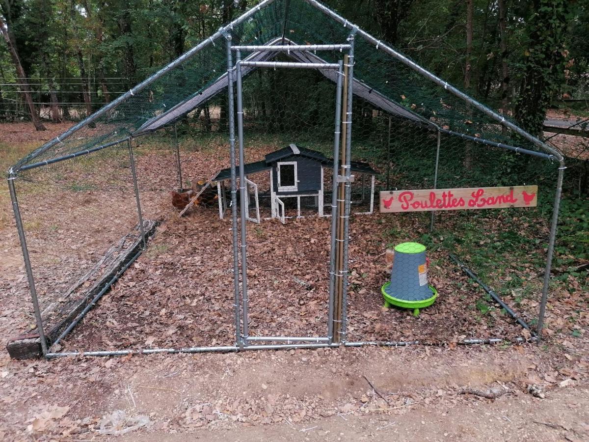 Emplacement Tente Camping Car Saint-Aubin-de-Nabirat 외부 사진